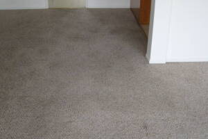 Repair Apartment Carpet Removal Stairs Paint - Repair
