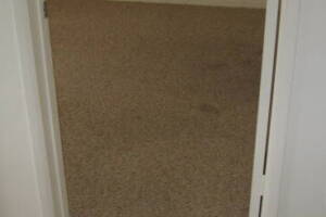 Repair Apartment Carpet Removal Stairs Paint - Repair