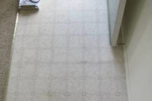 Repair Apartment Carpet Removal Stairs Paint - Repair