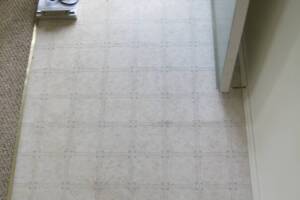 Repair Apartment Carpet Removal Stairs Paint - Repair