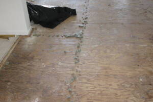 Repair Apartment Carpet Removal Stairs Paint - Repair