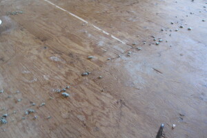 Repair Apartment Carpet Removal Stairs Paint - Repair