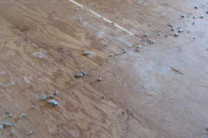 Repair Apartment Carpet Removal Stairs Paint - Repair