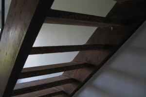 Repair Apartment Carpet Removal Stairs Paint - Repair