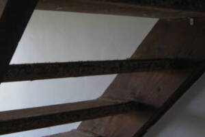 Repair Apartment Carpet Removal Stairs Paint - Repair