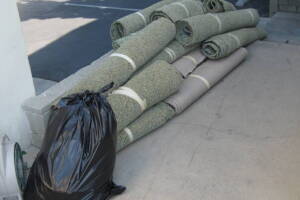 Repair Apartment Carpet Removal Stairs Paint - Repair