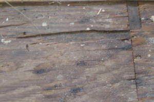 Repair Apartment Carpet Removal Stairs Paint - Repair