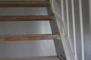 Repair Apartment Carpet Removal Stairs Paint - Repair
