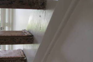 Repair Apartment Carpet Removal Stairs Paint - Repair