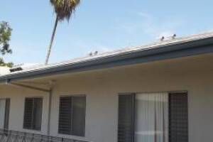 Repair Apartment Fascia Damage Repaint - Repair