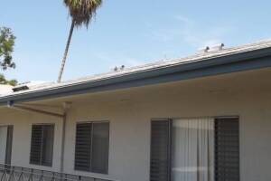Repair Apartment Fascia Damage Repaint - Repair