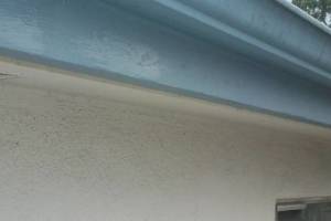 Repair Apartment Fascia Damage Repaint - Repair