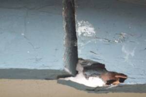 Repair Apartment Fascia Damage Repaint - Repair