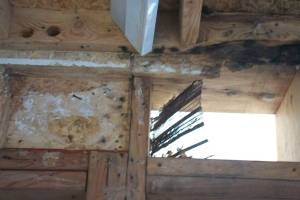Repair Apartment Framing Stucoo Plumbing - Repair