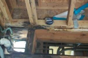 Repair Apartment Framing Stucoo Plumbing - Repair