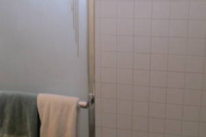 Repair Apartment Shower Door Leak - Repair