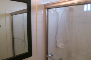Repair Apartment Shower Door Leak - Repair