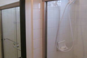 Repair Apartment Shower Door Leak - Repair