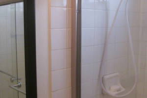 Repair Apartment Shower Door Leak - Repair