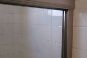 Repair Apartment Shower Door Leak - Repair