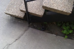 Repair Apartment Stairs Support Beam Paint - Repair