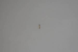 Repair Apartment Turnover Bath Kitchen - Repair