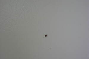 Repair Apartment Turnover Bath Kitchen - Repair