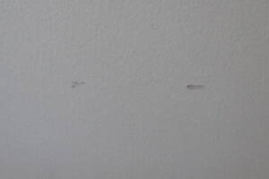 Repair Apartment Turnover Bath Kitchen - Repair