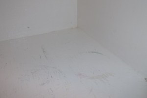 Repair Apartment Turnover Paint Caulking Touchups - Repair
