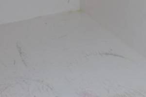 Repair Apartment Turnover Paint Caulking Touchups - Repair