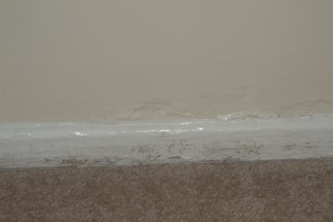Repair Apartment Turnover Paint Caulking Touchups - Repair