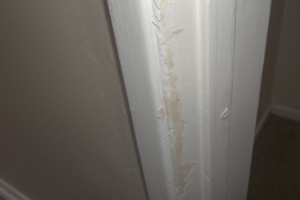 Repair Apartment Turnover Paint Caulking Touchups - Repair