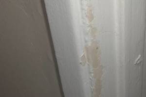 Repair Apartment Turnover Paint Caulking Touchups - Repair