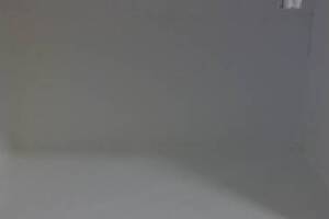 Repair Apartment Turnover Paint Caulking Touchups - Repair