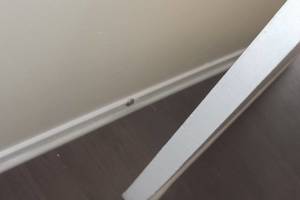 Repair Apartment Turnover Paint Caulking - Repair