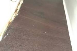 Repair Apartment Turnover Paint Caulking - Repair