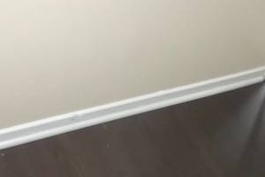 Repair Apartment Turnover Paint Caulking - Repair