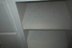 Repair Apartment Turnover Paint Touchups - Repair