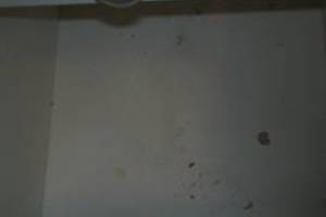 Repair Apartment Turnover Paint Touchups - Repair