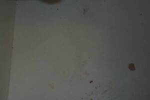 Repair Apartment Turnover Paint Touchups - Repair