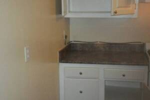 Repair Apartment Turnover Paint Touchups - Repair