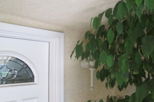 Repair Door Home Front Threshold - Repair