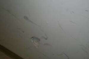 Repair Door Pocket Replace Lock - Repair