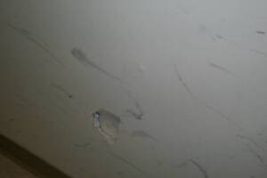 Repair Door Pocket Replace Lock - Repair