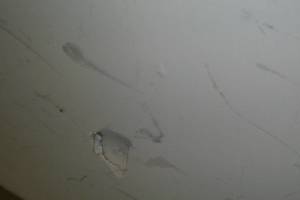 Repair Door Pocket Replace Lock - Repair