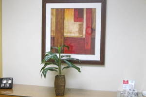 Repair Assembly Hanging Office Art - Repair