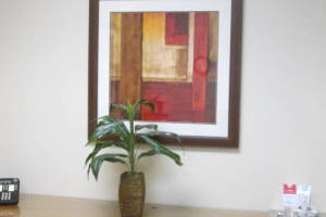 Repair Assembly Hanging Office Art - Repair