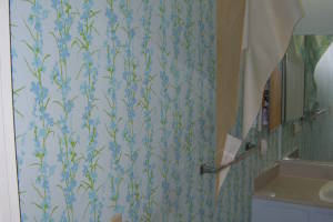 Repair Handyman Bathroom Remodel - Repair