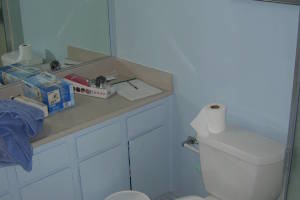 Repair Handyman Bathroom Remodel - Repair