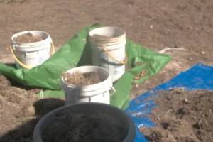 Repair Handyman Dirt Removal Hauling - Repair